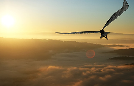 拉斯维加斯9888愿景