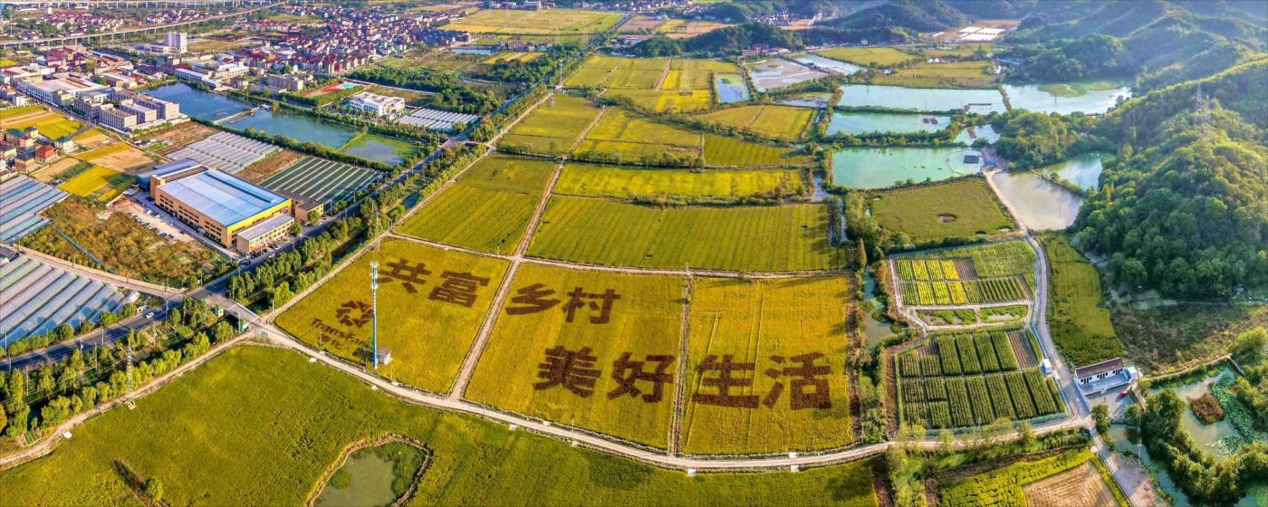 拉斯维加斯(9888)唯一官方网站